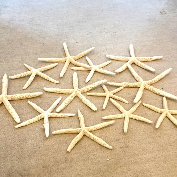 Natural starfish Christmas ornaments. All perfect ready for your coastal tree - Picture 1 of 8